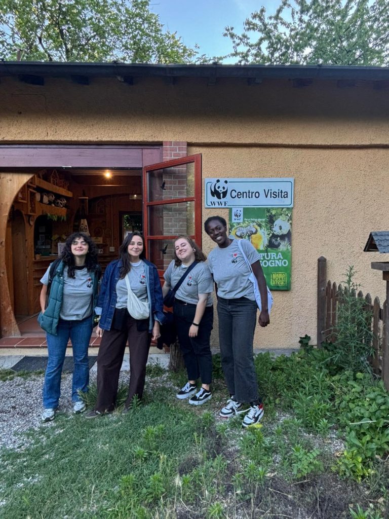 Il team di EXILE Marketing in attività di fundraising